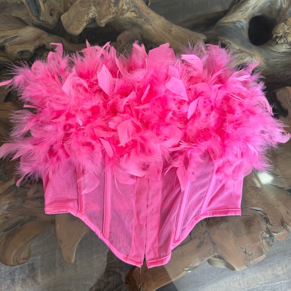 Fashion Nova Tops - Fashion Nova Pink Feather Corset Top